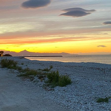 Vila Pepe Denia Exteriér fotografie